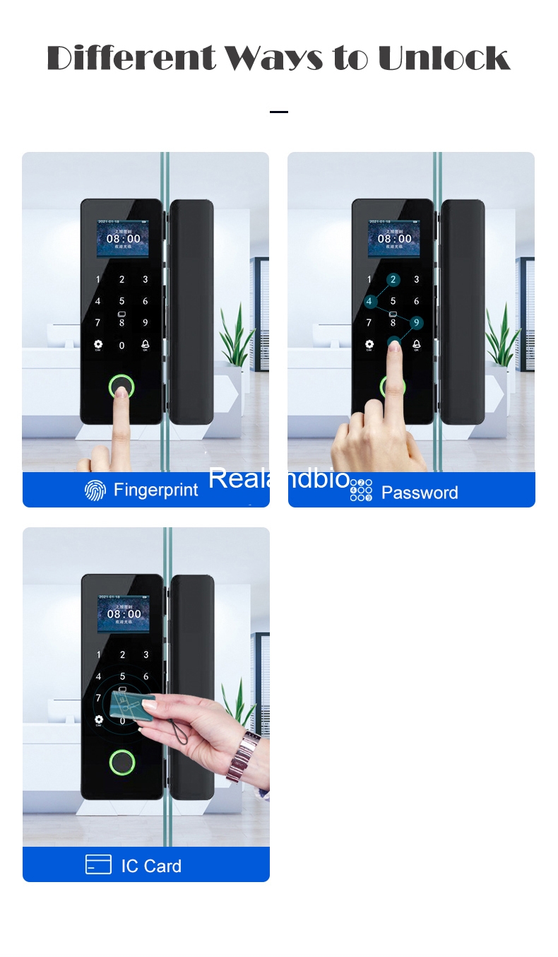 RL169 Fingerprint Smart Lock